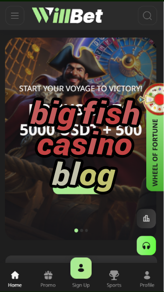 big fish casino blog-asdasdzhjkds.com